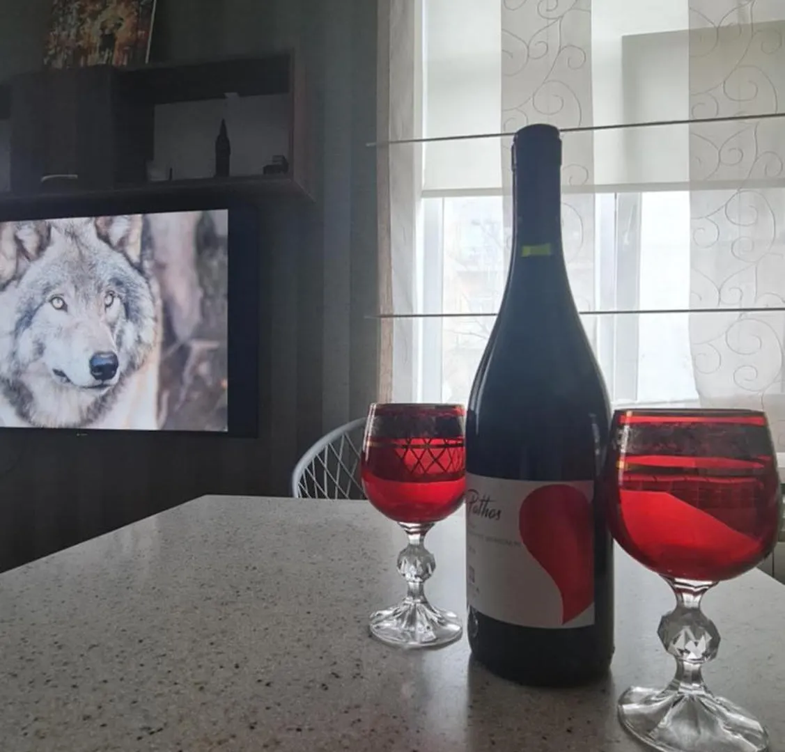 Grey Wolf Apartment Baku 0*,  Azerbaijan